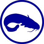 Aquaculture