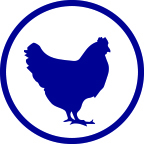 Poultry
